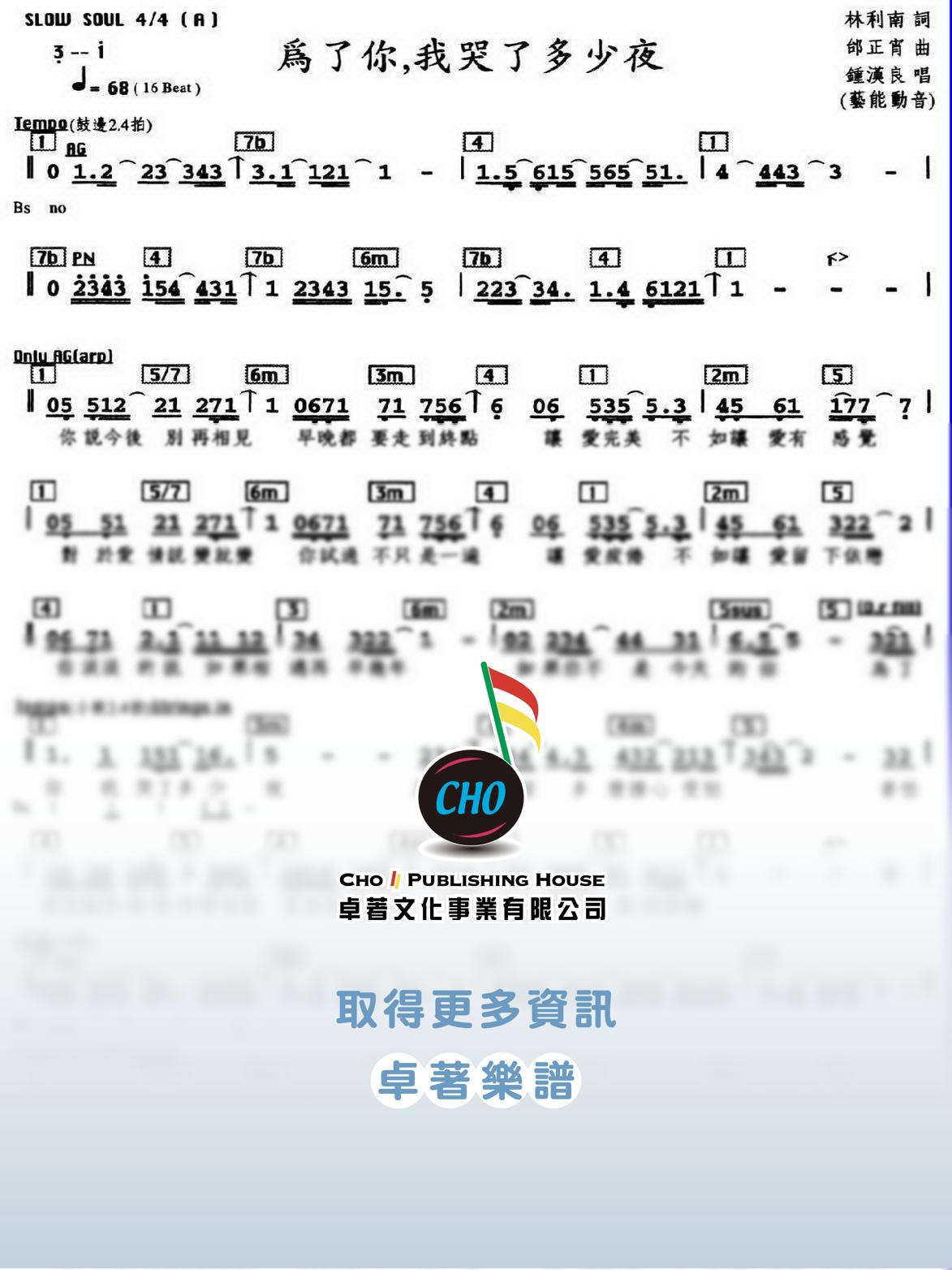 為了你我哭了多少夜